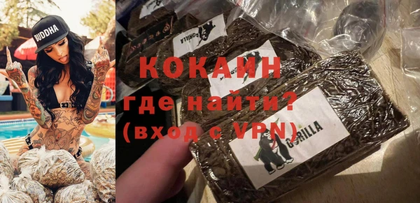 шишки Козельск
