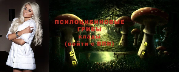 шишки Козельск