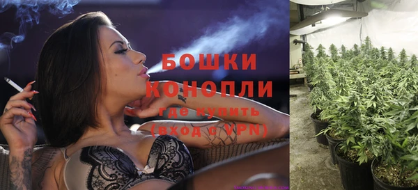 шишки Козельск